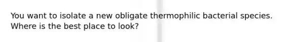 You want to isolate a new obligate thermophilic bacterial species. Where is the best place to look?