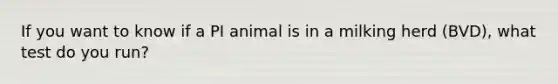 If you want to know if a PI animal is in a milking herd (BVD), what test do you run?