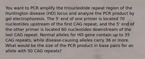 You want to PCR amplify the trinucleotide repeat region of the Huntington disease (HD) locus and analyze the PCR product by gel electrophoresis. The 5' end of one primer is located 70 nucleotides upstream of the first CAG repeat, and the 5' end of the other primer is located 60 nucleotides downstream of the last CAG repeat. Normal alleles for HD gene contain up to 35 CAG repeats, while disease-causing alleles carry 36 or more. What would be the size of the PCR product in base pairs for an allele with 50 CAG repeats?