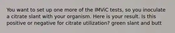 You want to set up one more of the IMViC tests, so you inoculate a citrate slant with your organism. Here is your result. Is this positive or negative for citrate utilization? green slant and butt