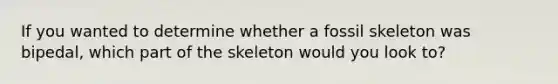 If you wanted to determine whether a fossil skeleton was bipedal, which part of the skeleton would you look to?