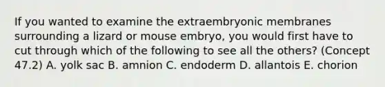 If you wanted to examine the extraembryonic membranes surrounding a lizard or mouse embryo, you would first have to cut through which of the following to see all the others? (Concept 47.2) A. yolk sac B. amnion C. endoderm D. allantois E. chorion