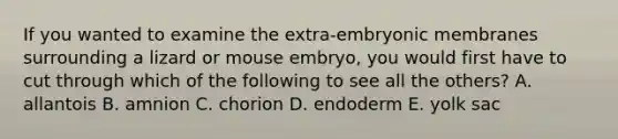 If you wanted to examine the extra-embryonic membranes surrounding a lizard or mouse embryo, you would first have to cut through which of the following to see all the others? A. allantois B. amnion C. chorion D. endoderm E. yolk sac