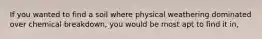 If you wanted to find a soil where physical weathering dominated over chemical breakdown, you would be most apt to find it in,