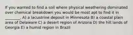 If you wanted to find a soil where physical weathering dominated over chemical breakdown you would be most apt to find it in ________. A) a lacustrine deposit in Minnesota B) a coastal plain area of Delaware C) a desert region of Arizona D) the hill lands of Georgia E) a humid region in Brazil