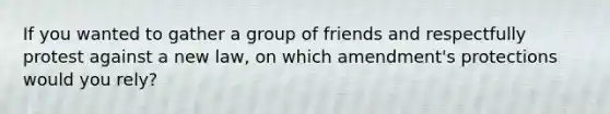 If you wanted to gather a group of friends and respectfully protest against a new law, on which amendment's protections would you rely?