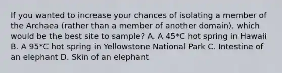 If you wanted to increase your chances of isolating a member of the Archaea (rather than a member of another domain). which would be the best site to sample? A. A 45*C hot spring in Hawaii B. A 95*C hot spring in Yellowstone National Park C. Intestine of an elephant D. Skin of an elephant