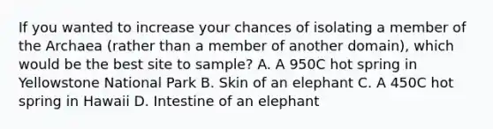 If you wanted to increase your chances of isolating a member of the Archaea (rather than a member of another domain), which would be the best site to sample? A. A 950C hot spring in Yellowstone National Park B. Skin of an elephant C. A 450C hot spring in Hawaii D. Intestine of an elephant