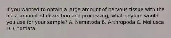 If you wanted to obtain a large amount of nervous tissue with the least amount of dissection and processing, what phylum would you use for your sample? A. Nematoda B. Arthropoda C. Mollusca D. Chordata