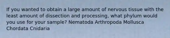 If you wanted to obtain a large amount of nervous tissue with the least amount of dissection and processing, what phylum would you use for your sample? Nematoda Arthropoda Mollusca Chordata Cnidaria