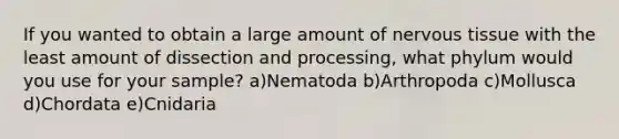 If you wanted to obtain a large amount of nervous tissue with the least amount of dissection and processing, what phylum would you use for your sample? a)Nematoda b)Arthropoda c)Mollusca d)Chordata e)Cnidaria