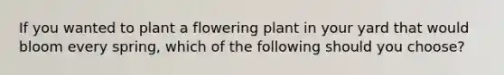 If you wanted to plant a flowering plant in your yard that would bloom every spring, which of the following should you choose?