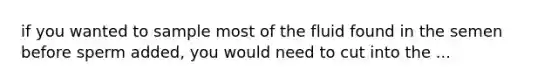 if you wanted to sample most of the fluid found in the semen before sperm added, you would need to cut into the ...