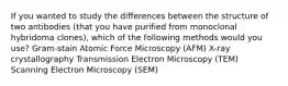 If you wanted to study the differences between the structure of two antibodies (that you have purified from monoclonal hybridoma clones), which of the following methods would you use? Gram-stain Atomic Force Microscopy (AFM) X-ray crystallography Transmission Electron Microscopy (TEM) Scanning Electron Microscopy (SEM)