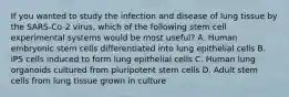 If you wanted to study the infection and disease of lung tissue by the SARS-Co-2 virus, which of the following stem cell experimental systems would be most useful? A. Human embryonic stem cells differentiated into lung epithelial cells B. iPS cells induced to form lung epithelial cells C. Human lung organoids cultured from pluripotent stem cells D. Adult stem cells from lung tissue grown in culture