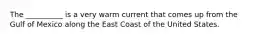 The __________ is a very warm current that comes up from the Gulf of Mexico along the East Coast of the United States.