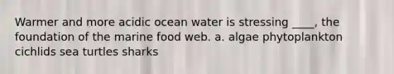 Warmer and more acidic ocean water is stressing ____, the foundation of the marine food web. a. algae phytoplankton cichlids sea turtles sharks