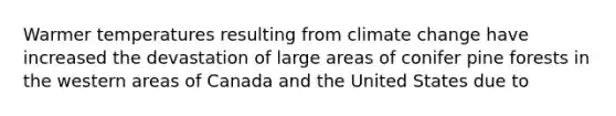 Warmer temperatures resulting from climate change have increased the devastation of large areas of conifer pine forests in the western areas of Canada and the United States due to