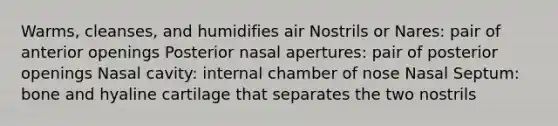 Warms, cleanses, and humidifies air Nostrils or Nares: pair of anterior openings Posterior nasal apertures: pair of posterior openings Nasal cavity: internal chamber of nose Nasal Septum: bone and hyaline cartilage that separates the two nostrils