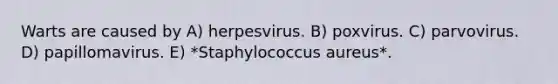 Warts are caused by A) herpesvirus. B) poxvirus. C) parvovirus. D) papillomavirus. E) *Staphylococcus aureus*.