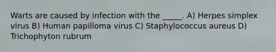 Warts are caused by infection with the _____. A) Herpes simplex virus B) Human papilloma virus C) Staphylococcus aureus D) Trichophyton rubrum