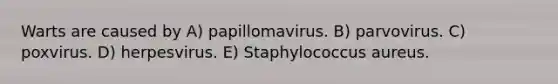 Warts are caused by A) papillomavirus. B) parvovirus. C) poxvirus. D) herpesvirus. E) Staphylococcus aureus.