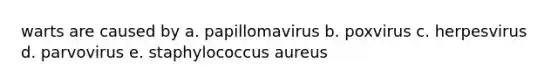 warts are caused by a. papillomavirus b. poxvirus c. herpesvirus d. parvovirus e. staphylococcus aureus