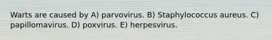 Warts are caused by A) parvovirus. B) Staphylococcus aureus. C) papillomavirus. D) poxvirus. E) herpesvirus.