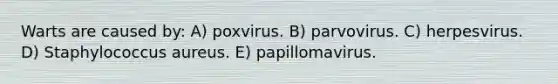 Warts are caused by: A) poxvirus. B) parvovirus. C) herpesvirus. D) Staphylococcus aureus. E) papillomavirus.