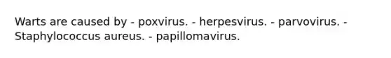 Warts are caused by - poxvirus. - herpesvirus. - parvovirus. - Staphylococcus aureus. - papillomavirus.