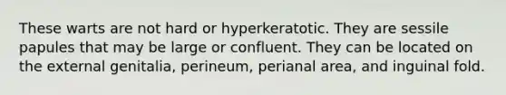 These warts are not hard or hyperkeratotic. They are sessile papules that may be large or confluent. They can be located on the external genitalia, perineum, perianal area, and inguinal fold.