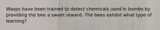 Wasps have been trained to detect chemicals used in bombs by providing the bee a sweet reward. The bees exhibit what type of learning?