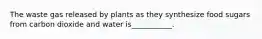 The waste gas released by plants as they synthesize food sugars from carbon dioxide and water is___________.