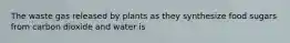 The waste gas released by plants as they synthesize food sugars from carbon dioxide and water is