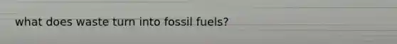 what does waste turn into fossil fuels?