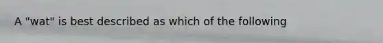 A "wat" is best described as which of the following