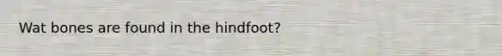 Wat bones are found in the hindfoot?