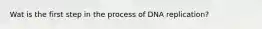 Wat is the first step in the process of DNA replication?