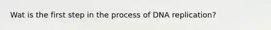 Wat is the first step in the process of DNA replication?