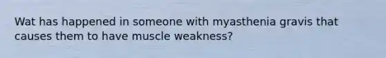 Wat has happened in someone with myasthenia gravis that causes them to have muscle weakness?