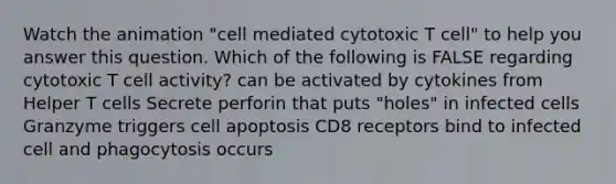 Watch the animation "cell mediated cytotoxic T cell" to help you answer this question. Which of the following is FALSE regarding cytotoxic T cell activity? can be activated by cytokines from Helper T cells Secrete perforin that puts "holes" in infected cells Granzyme triggers cell apoptosis CD8 receptors bind to infected cell and phagocytosis occurs