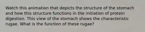 Watch this animation that depicts the structure of <a href='https://www.questionai.com/knowledge/kLccSGjkt8-the-stomach' class='anchor-knowledge'>the stomach</a> and how this structure functions in the initiation of protein digestion. This view of the stomach shows the characteristic rugae. What is the function of these rugae?