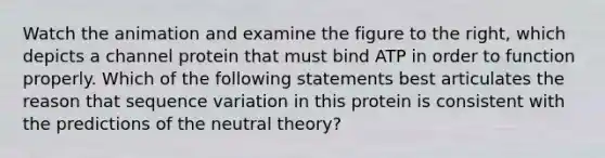 Watch the animation and examine the figure to the right, which depicts a channel protein that must bind ATP in order to function properly. Which of the following statements best articulates the reason that sequence variation in this protein is consistent with the predictions of the neutral theory?