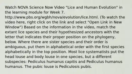 Watch NOVA Science Now Video "Lice and Human Evolution" in the learning module for Week 7. http://www.pbs.org/wgbh/nova/evolution/lice.html. (To watch the video here, right click on the link and select "Open Link in New Window") Based on the information in the video, match the extant lice species and their hypothesized ancestors with the letter that indicates their proper position on the phylogeny, below. Where there are sister species and their order is ambiguous, put them in alphabetical order with the first species alphabetically in the top position. Most lice systematists put the head louse and body louse in one species, but a different subspecies: Pediculus humanus capitis and Pediculus humanus humanus. The pubic louse is Pediculosis pubis.