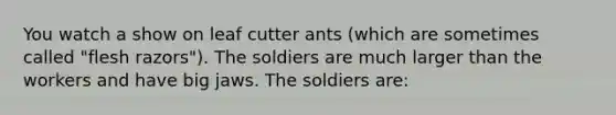 You watch a show on leaf cutter ants (which are sometimes called "flesh razors"). The soldiers are much larger than the workers and have big jaws. The soldiers are: