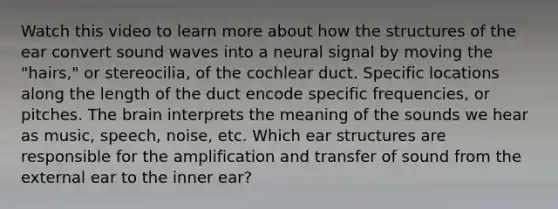 Watch this video to learn more about how the structures of the ear convert sound waves into a neural signal by moving the "hairs," or stereocilia, of the cochlear duct. Specific locations along the length of the duct encode specific frequencies, or pitches. The brain interprets the meaning of the sounds we hear as music, speech, noise, etc. Which ear structures are responsible for the amplification and transfer of sound from the external ear to the inner ear?