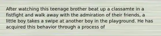 After watching this teenage brother beat up a classamte in a fistfight and walk away with the admiration of their friends, a little boy takes a swipe at another boy in the playground. He has acquired this behavior through a process of