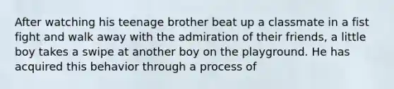 After watching his teenage brother beat up a classmate in a fist fight and walk away with the admiration of their friends, a little boy takes a swipe at another boy on the playground. He has acquired this behavior through a process of