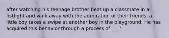 after watching his teenage brother beat up a classmate in a fistfight and walk away with the admiration of their friends, a little boy takes a swipe at another boy in the playground. He has acquired this behavior through a process of ___?