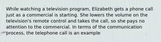 While watching a television program, Elizabeth gets a phone call just as a commercial is starting. She lowers the volume on the television's remote control and takes the call, so she pays no attention to the commercial. In terms of the communication process, the telephone call is an example